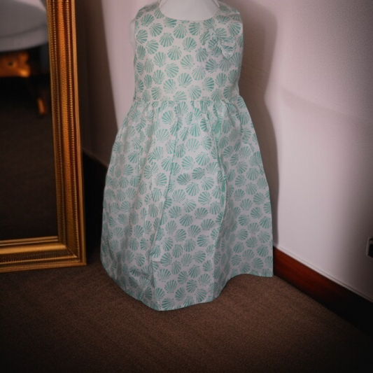 Turquoise Carapace